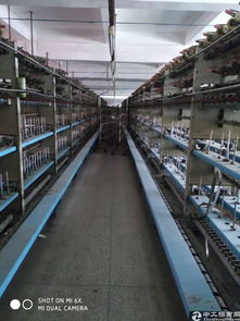 大朗原房東紡紗廠10000平方廠房帶設備出租 紡織產業升級新機遇